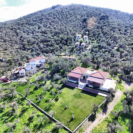 Hotel Gera'S Olive Grove - Elaionas Lesvou Marmaro  Exterior foto