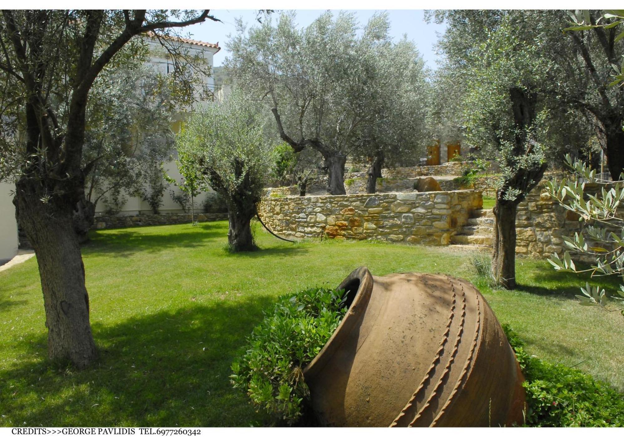 Hotel Gera'S Olive Grove - Elaionas Lesvou Marmaro  Exterior foto