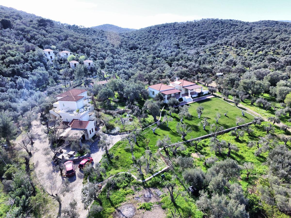 Hotel Gera'S Olive Grove - Elaionas Lesvou Marmaro  Exterior foto