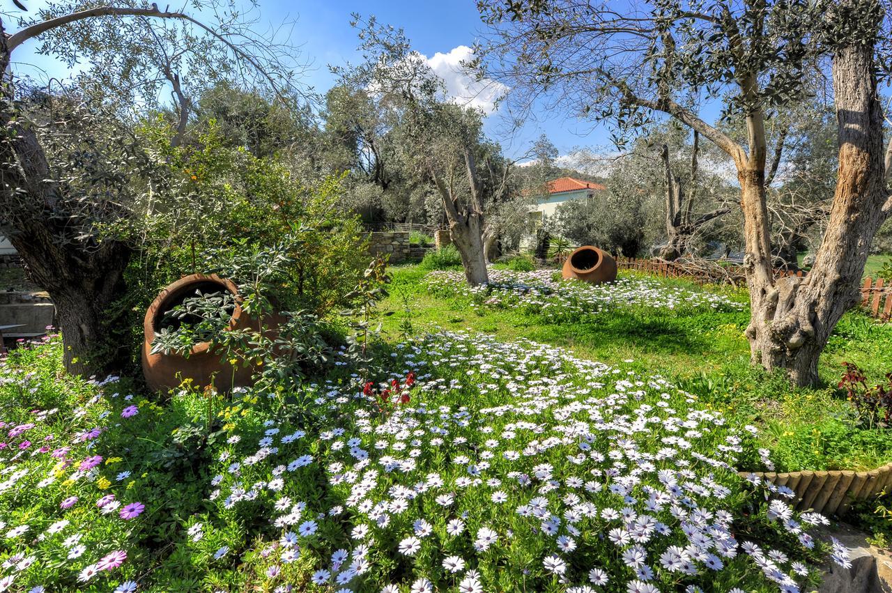 Hotel Gera'S Olive Grove - Elaionas Lesvou Marmaro  Exterior foto