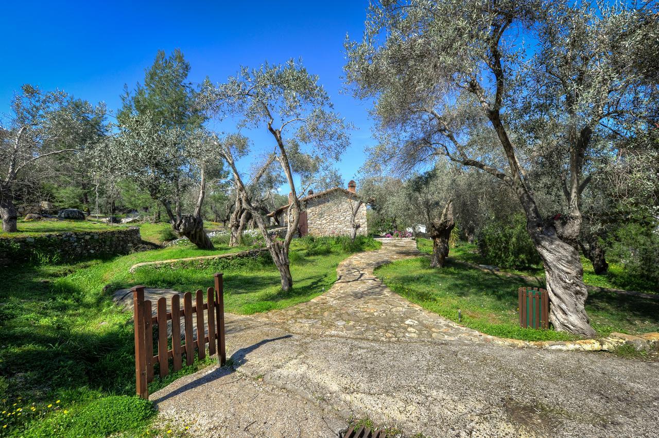 Hotel Gera'S Olive Grove - Elaionas Lesvou Marmaro  Exterior foto